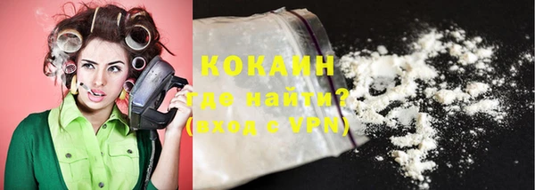 стафф Богданович