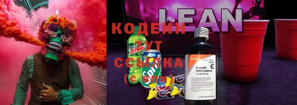 стафф Богданович