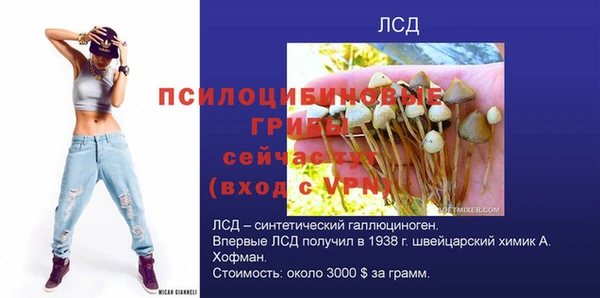 экстази Богородск