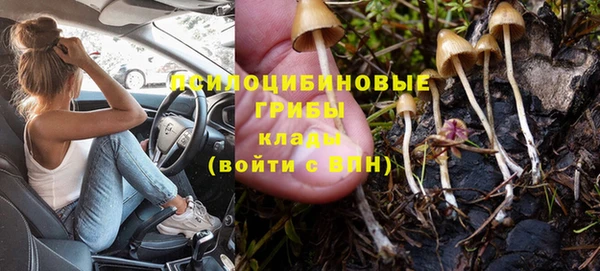 стафф Богданович