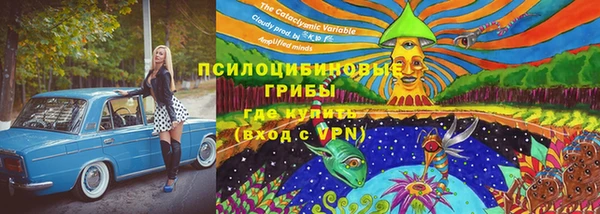 экстази Богородск