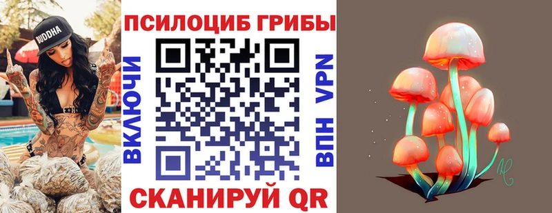 где купить наркоту Северская Псилоцибиновые грибы прущие грибы